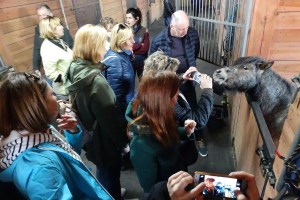 Стайня в парку природи Беремицьке